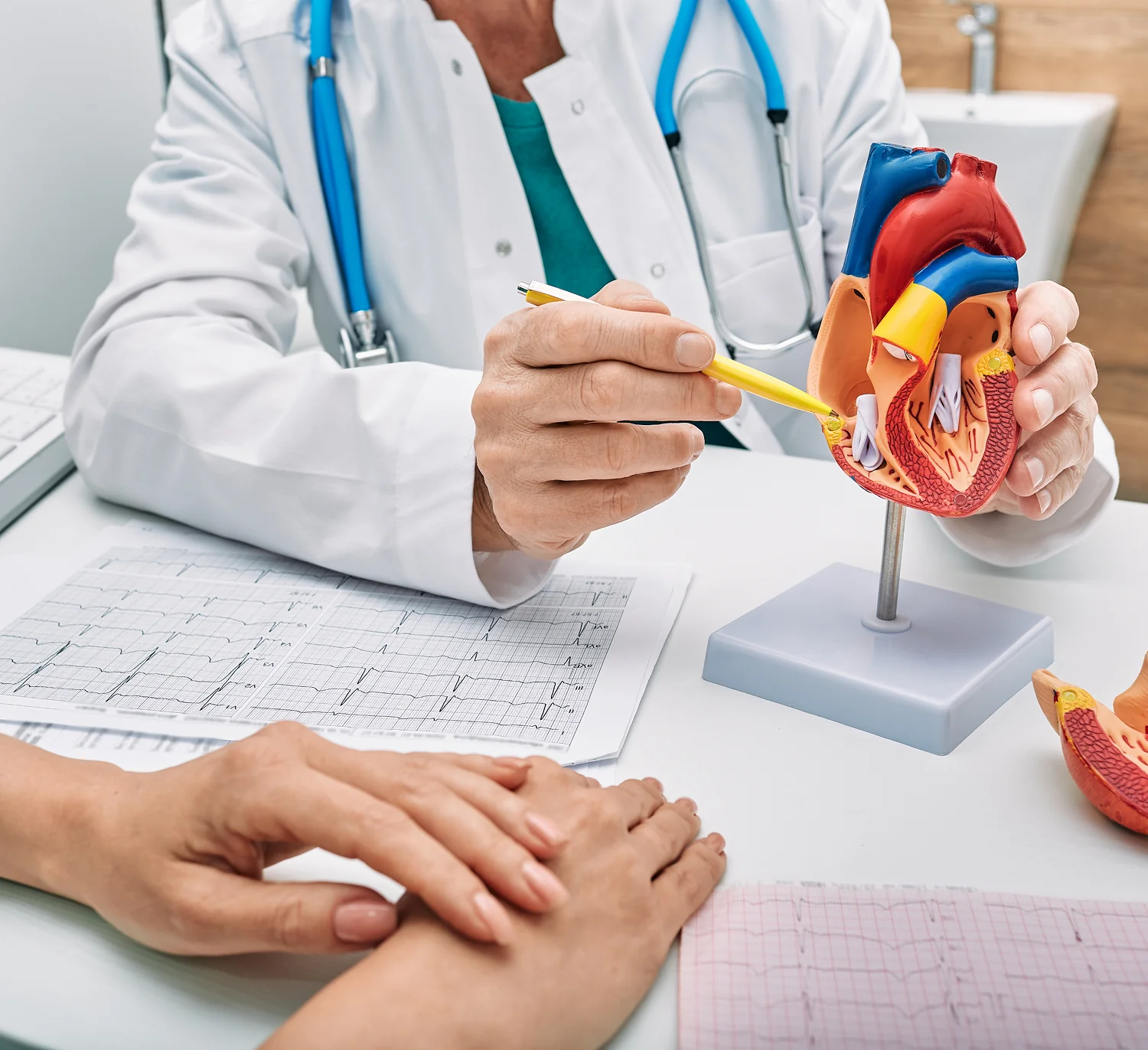 Doctor explaining heart model to patient.
