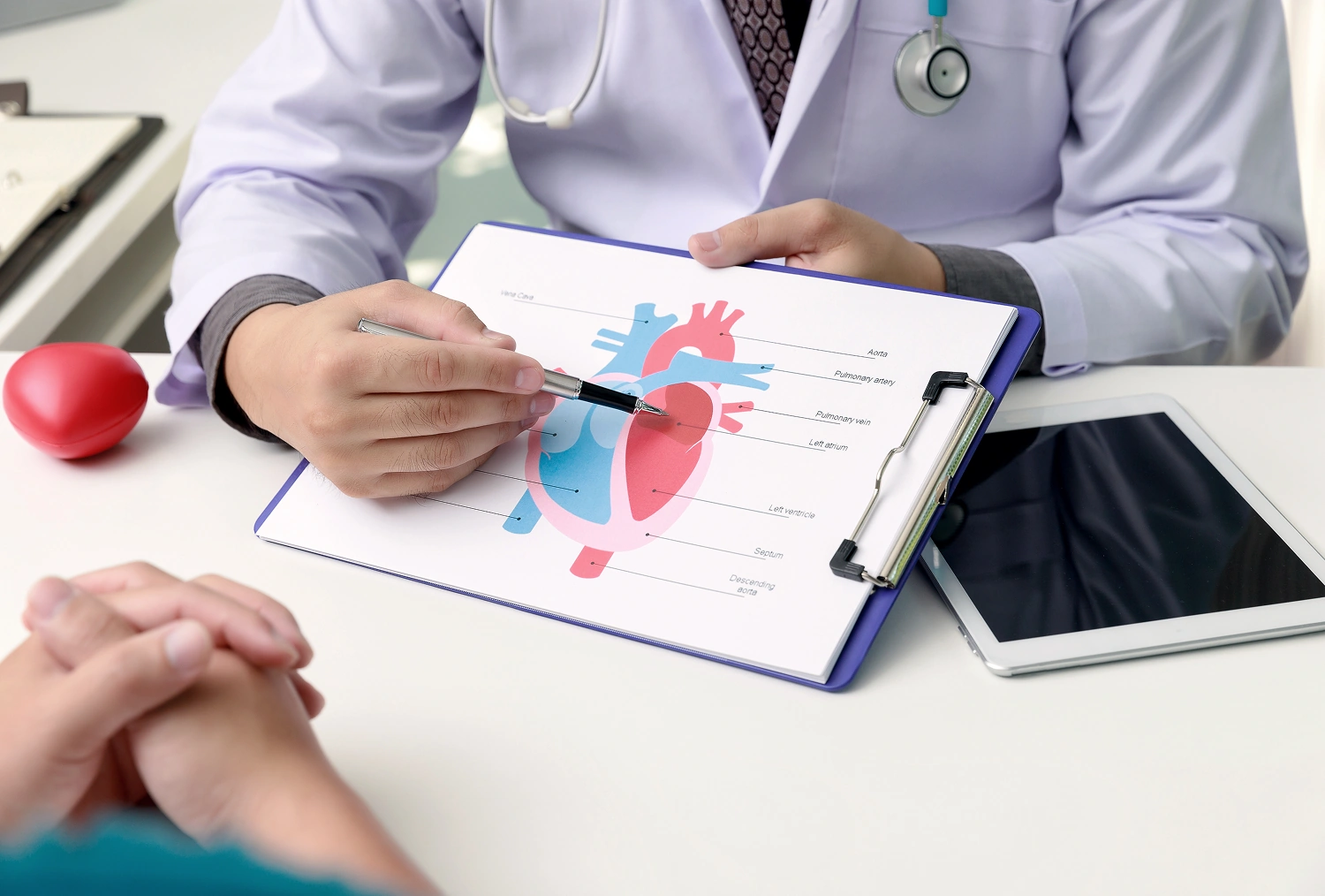 Doctor explaining heart diagram to patient.